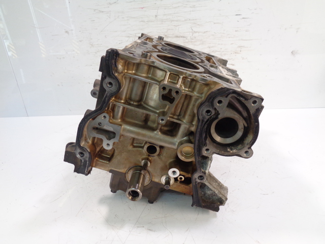 110116559R Mercedes motor completo