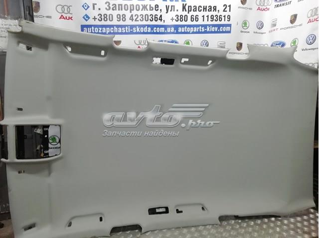  Techo interior Volkswagen Touareg 2