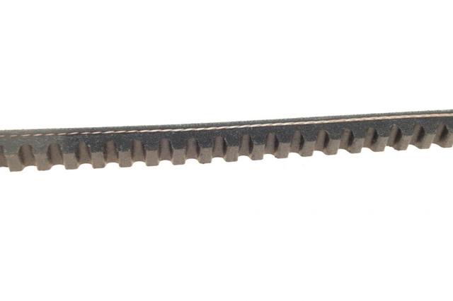 Correa de alternador 11A0760C Dayco