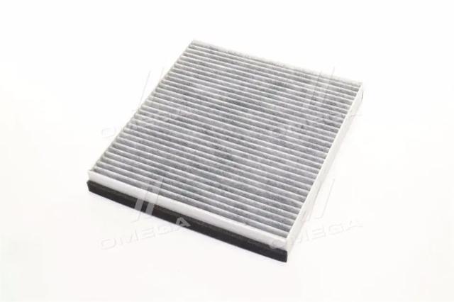 Filtro de polen Rider RD61J6WP6918C