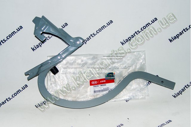 792201M000 Hyundai/Kia conjunto de bisagra, puerta del maletero