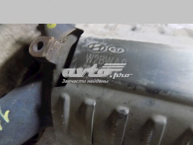 Comprar Catalizador Hyundai Accent IV RB