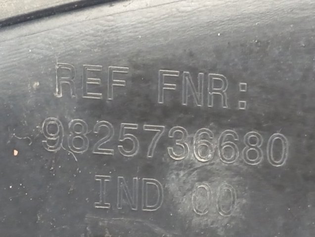 Comprar 9825736680 Peugeot/Citroen 