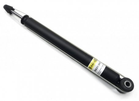 Amortiguadores traseros Raiso RS313915