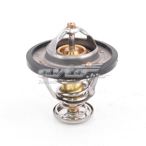 Comprar 1018020600 BYD Termostato