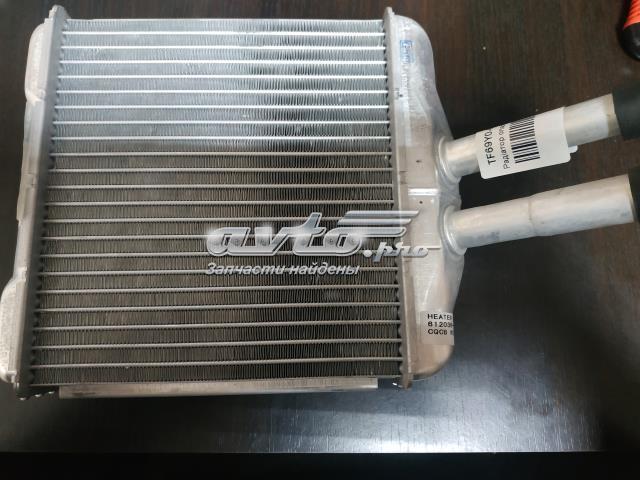 Radiador de calefacción ZAZ TF69Y061203601 precio, desde 35,21 EUR