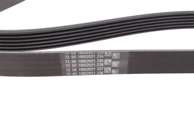 Correa de alternador 6PK1453 Continental/Siemens
