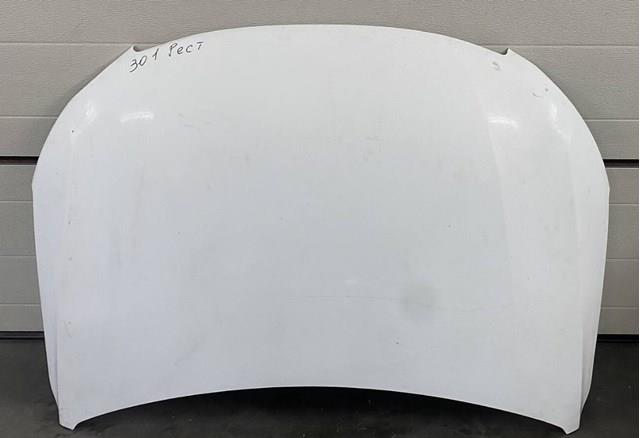 9816972680 Peugeot/Citroen Capó delantero
