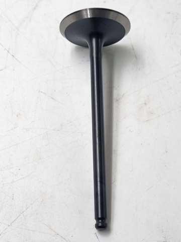Válvula de admisión NIPPON MOTORS NEV637IN precio, desde 7,89 EUR