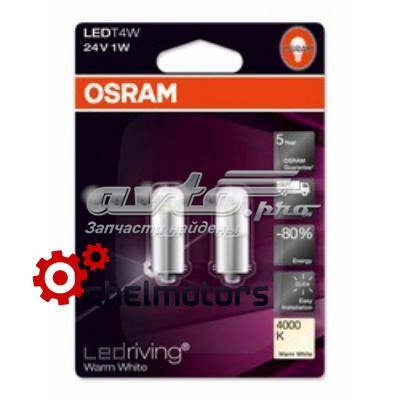 3924WW02B Osram Bombilla de cruce