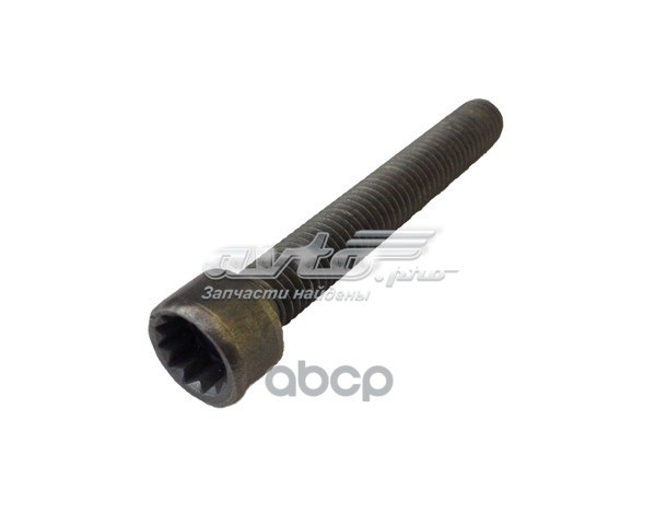 Tornillo, soporte inyector VAG N10581102