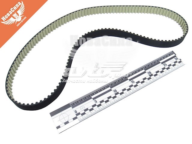 941018 Dayco Correa dentada