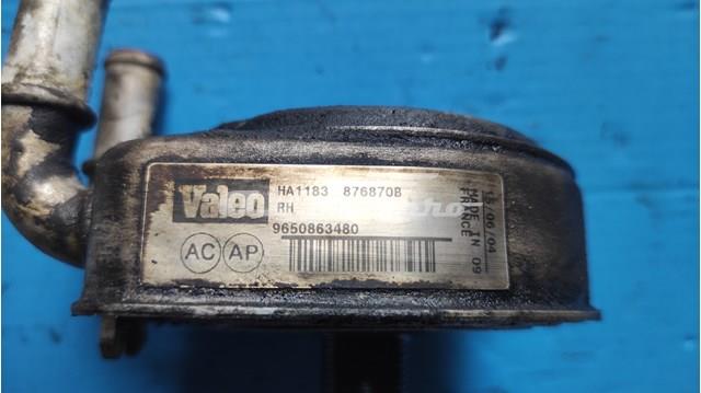 Peugeot/Citroen 9650863480