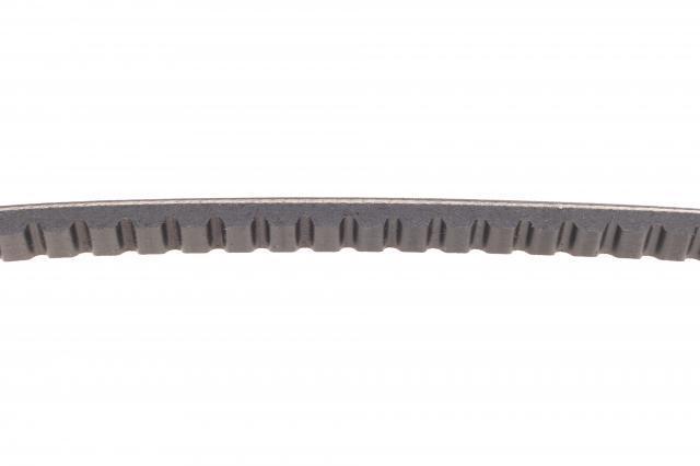 AVX13X825 Continental/Siemens Correa poly v