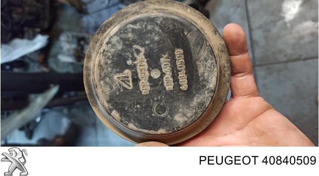40840509 Peugeot/Citroen Luz derecha