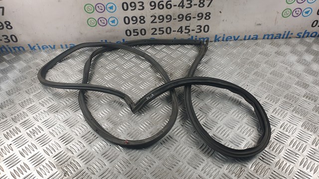 Junta de puerta delantera izquierda (en carrocería) Toyota Avensis (T22)