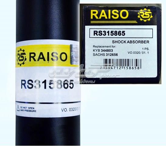 RS315865 Raiso amortiguador trasero