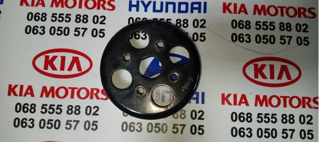 2522103000 Hyundai/Kia polea, bomba de agua