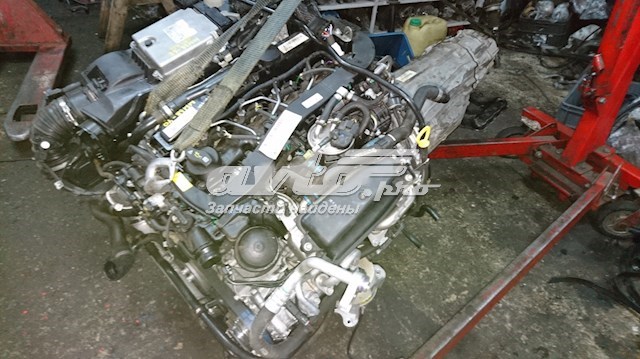 Comprar 651921 Mercedes Motor completo