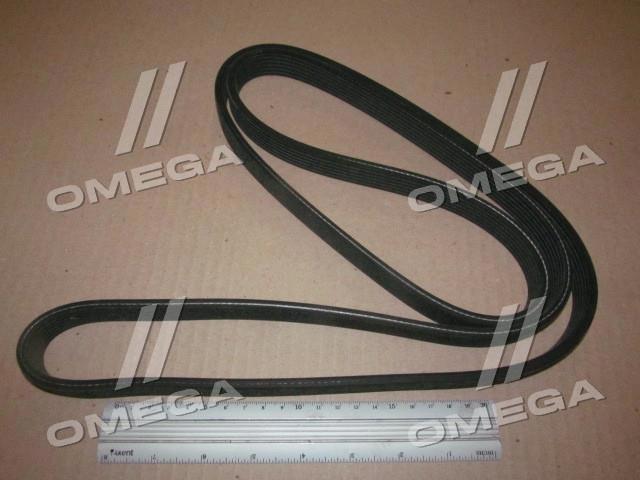 Comprar 6DPK1825 Dayco Correa trapezoidal