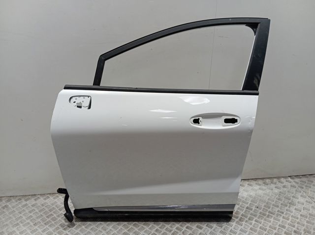 2405130 Ford Puerta delantera