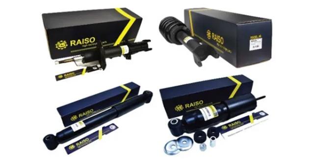 Amortiguador RS312254 Raiso