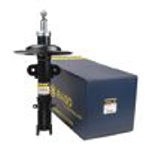 Amortiguador RS310202 Raiso