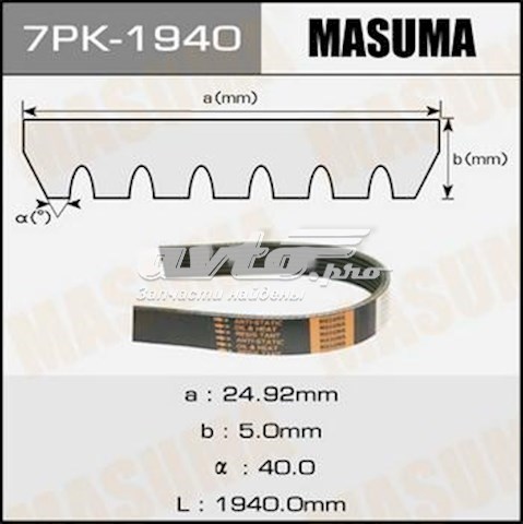 7PK1940 Masuma correa trapezoidal