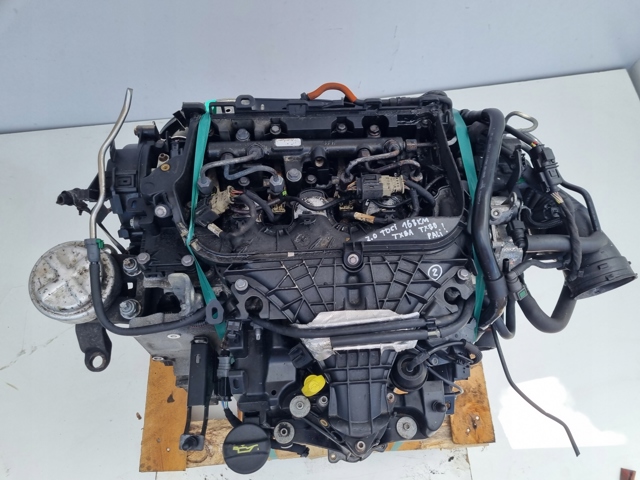 TXBA Ford Motor completo