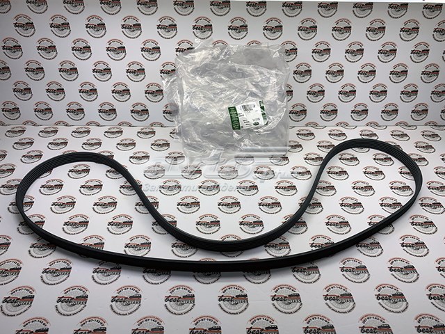 Comprar LR062006 Land Rover Correa trapezoidal