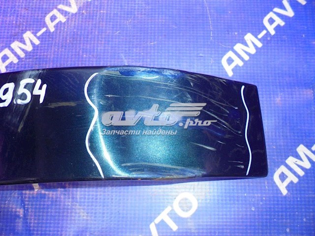 Protector para foco trasero derecho para Toyota Carina (T19)