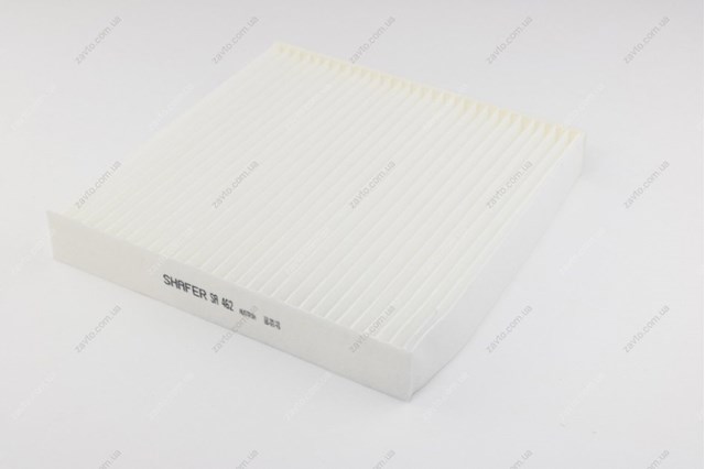 SA462 Shafer Filtro antipolen
