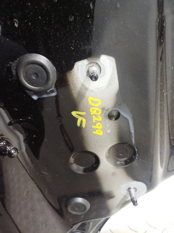 41009626977 BMW capó del motor