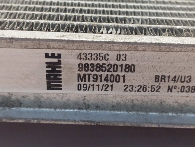 9838520180 Peugeot/Citroen Refrigeración del motor