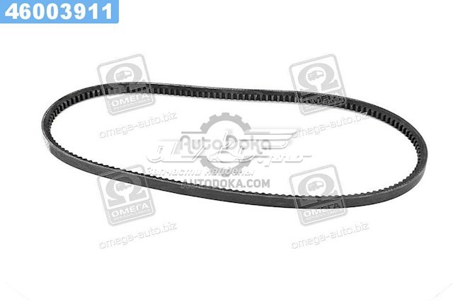 13A1030C Dayco Correa poly v