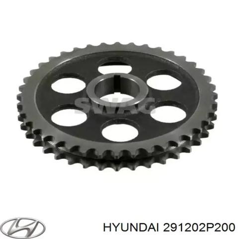 Protección motor derecha Hyundai Santa Fe 2 (CM)