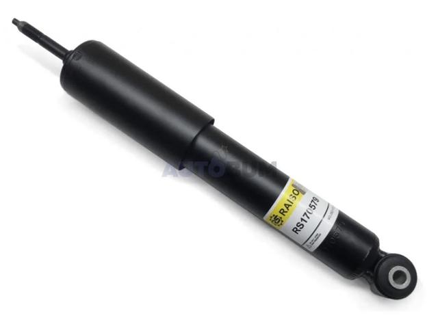 Amortiguadores Raiso RS170579 precio, desde 24,76 EUR