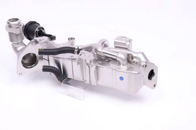 Comprar 11718596445 BMW 