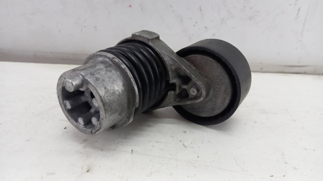Tensor de la correa trapecial Renault (RVI) 117506193R precio, desde 43,56 EUR