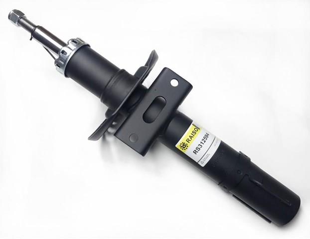 RS312594 Raiso Amortiguador frontal