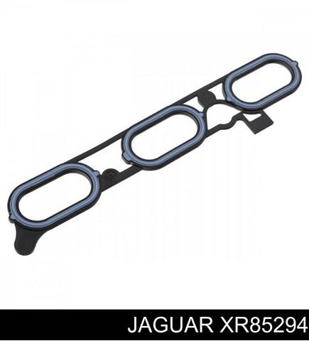 XR85294 Jaguar Junta superior del colector de admisión