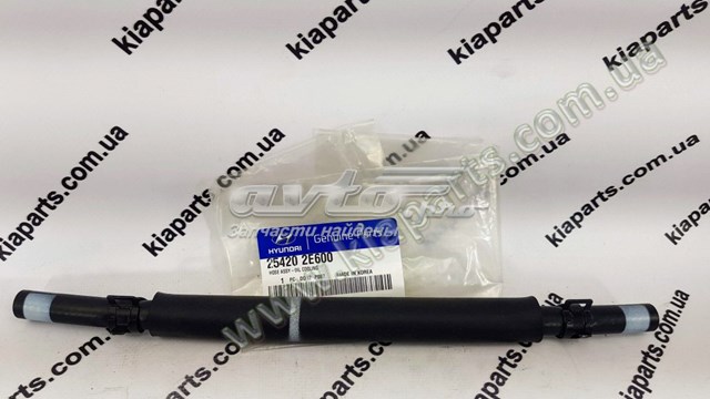 254202E600 Hyundai/Kia tubo manguera para enfriador de aceite, alta presion