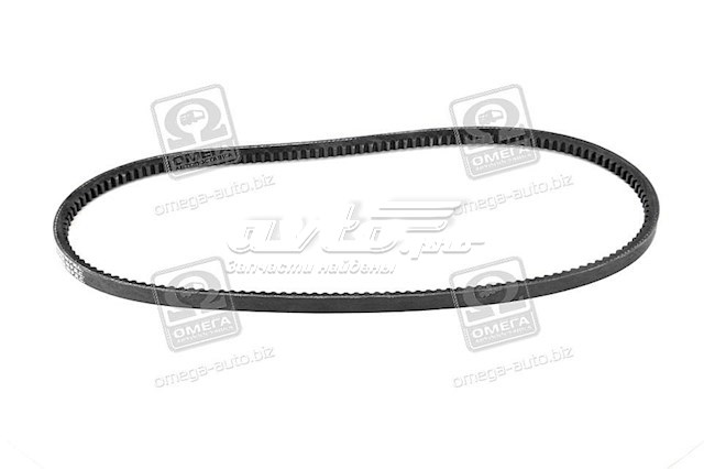 13A1030C Dayco Correa poly v