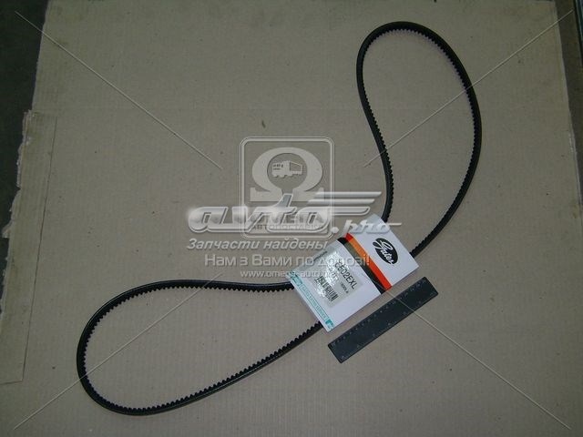 6502EXL Gates Correa poly v
