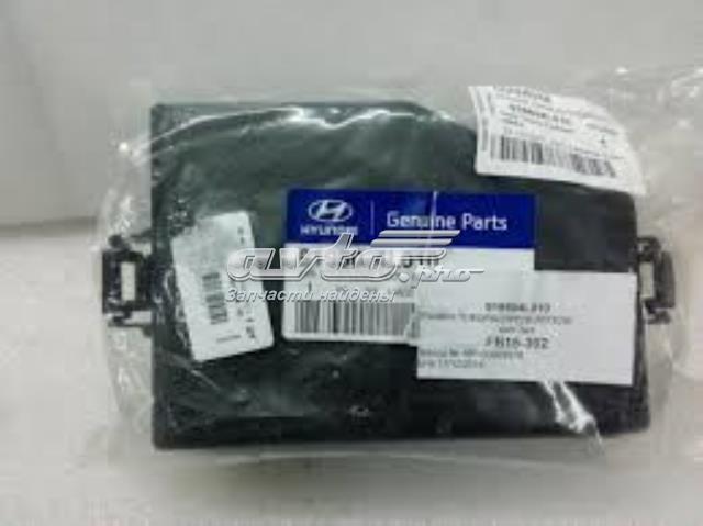 919504L010 Hyundai/Kia tapa, caja de fusibles