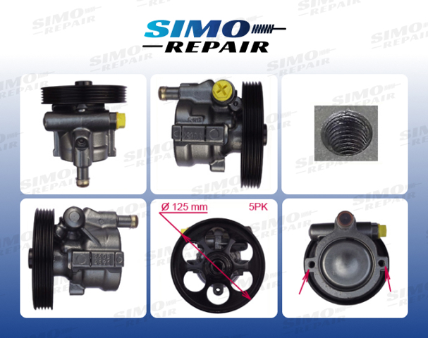 Bomba de dirección S5060013 Polcar
