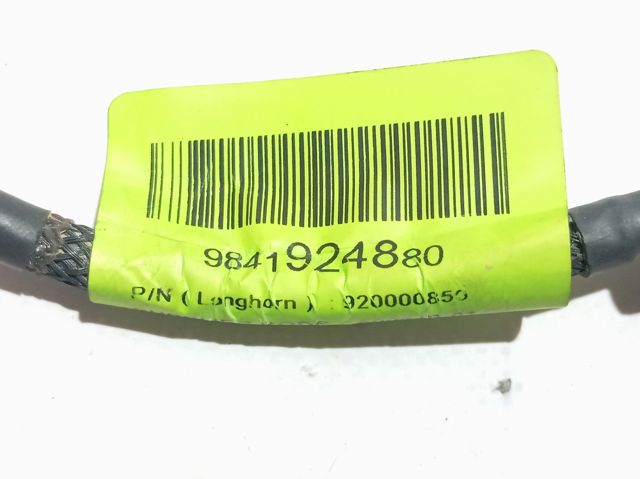 9841924880 Peugeot/Citroen Cámara del sistema de visión
