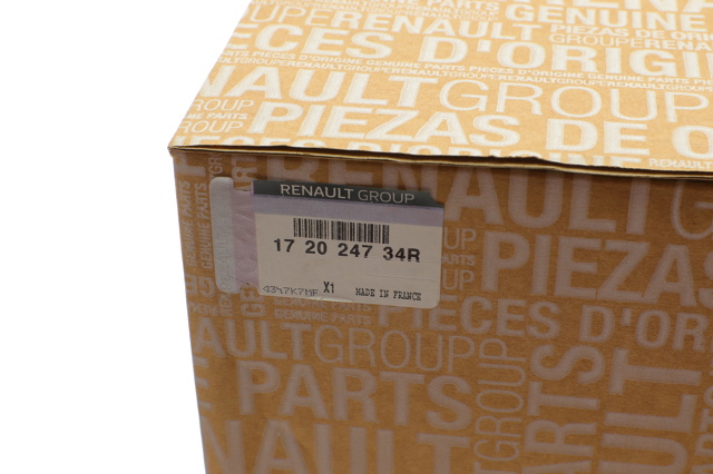 172024734R Renault (RVI) Módulo de alimentación de combustible