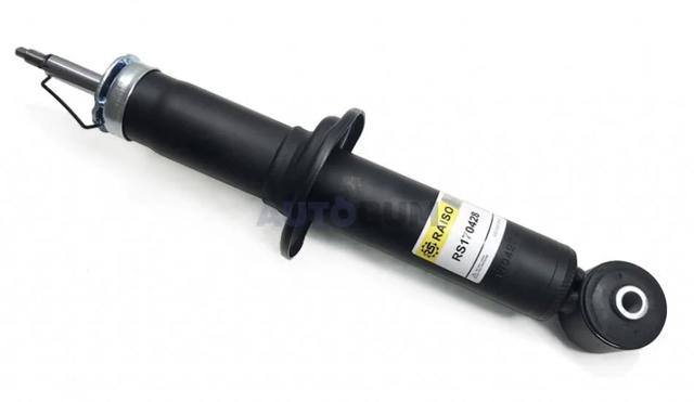 Comprar RS170428 Raiso Amortiguador trasero