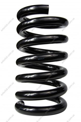Muelle delantero Raiso SR072TP precio, desde 48,10 EUR